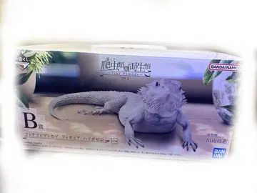 파충류&양서류 vol.2 제일복권 B상 턱수염도마뱀 하이포로제