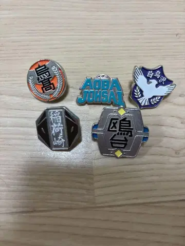 하이큐 고등학교 모티브 핀 배지