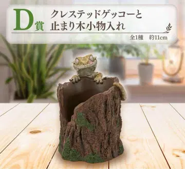 파충류 & 양서류 제일복권 크레스티드 게코와 횃대 소품함 d상