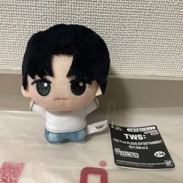 TWS 투아스 SD 인형 vol.1 용제 봉제 인형 남코 한정판