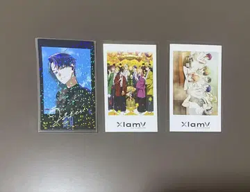 vs 양가성 XlamV 이세이