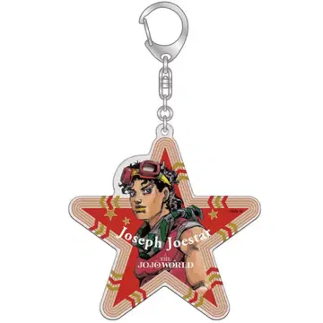 죠죠 월드 THE JOJO WORLD 와이어 키링 조셉