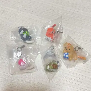 고양이 모으기2 메지루시 액세서리 5개 세트