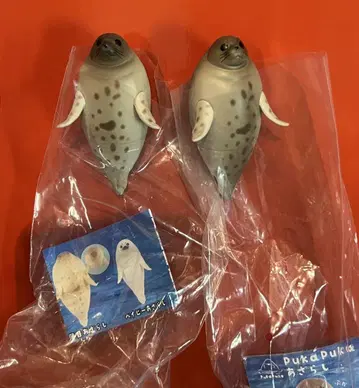 PukaPuka 아자라시 눈망울 초롱 아자라시 2개 세트
