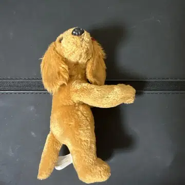 개 봉제 인형