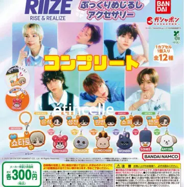 RIIZE 푹신한 메지루시 액세서리 전 12종 컴플리트 컴프