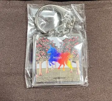레어 미세스 그린 애플 라라포트 한정 가챠