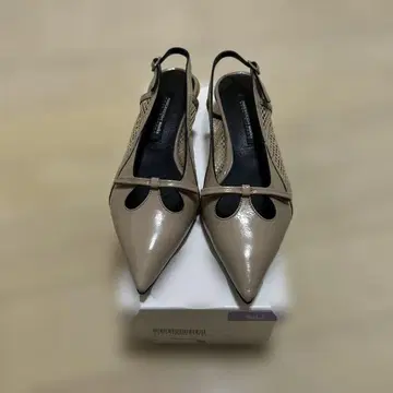 베이지 스틸레토 슬링백 신발