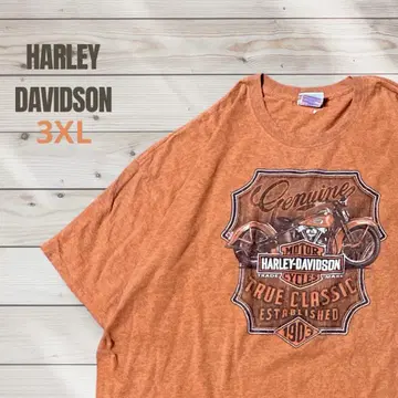 HARLEY DAVIDSON 바이크 티셔츠 3XL 양면 프린트
