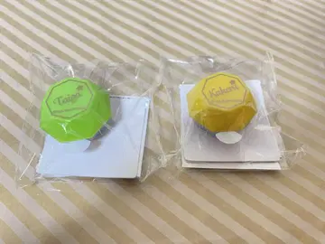 타이가 카케루 링 라이트 킹프리