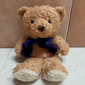네이비 컴퍼니 퍼펫 테디베어 곰 봉제 인형