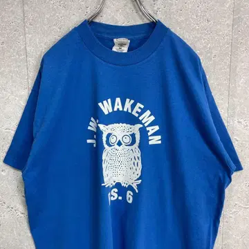 프룻 오브 더 룸 올빼미 J.W WAKEMAN 프린트 티셔츠 XL