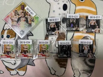 드래곤 게이트 웹폰 묶음 판매(낱개 판매 가능)