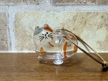우리 집의 보풀 뭉치, 삼색 고양이