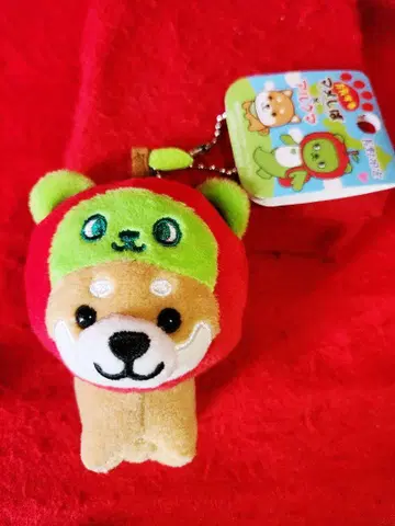 여행하는 마메시바 나가노 한정 아루쿠마 콜라보 강아지 마스코트 봉제 인형