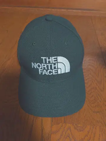 THE NORTH FACE 올리브 그린 캡