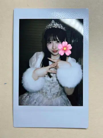 사쿠라바 하야카 생일 폴라로이드