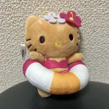 헬로키티 일광화상 키티 봉제 인형
