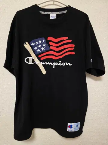 챔피온 티셔츠 Champion C3-X322 T-Shirt USA