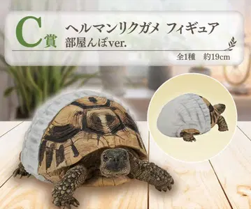 제일복권 파충류&양서류 C상 헬만리쿠가메