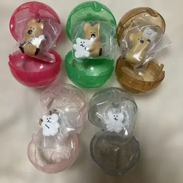 DINOTAENG 다이노탱 메지루시 액세서리 전5종 세트 컴플리트