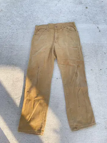 dickies 페인터 팬츠 34 x 32