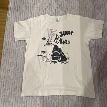 컨디션 최상 웨어하우스 세코한 티셔츠 m 38 40 빔즈