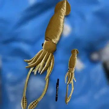 대왕 오징어 봉제 인형