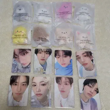 Straykids 스키즈 skzoo 마이크로 키링