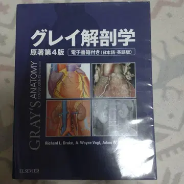 그레이 해부학 제4판