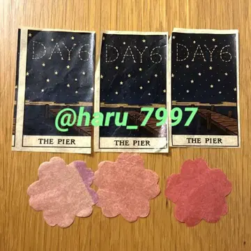 Day6 pier 10 팬 미팅 콘서트 타로