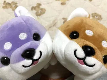 해피 마메시바 세트 아시카가 플라워 파크 한정판