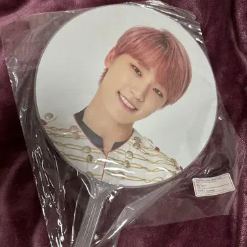 SEVENTEEN 디노 부채
