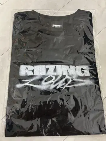 RIZING LOGO MINI 크롭 T셔츠 RIIZE