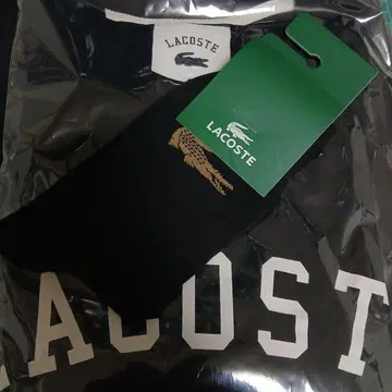 라코스테 티셔츠 + 삭스