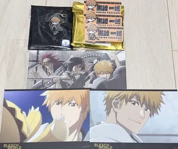 BLEACH 쿠로사키 이치고 캔뱃지 3개 세트 아크릴 키링
