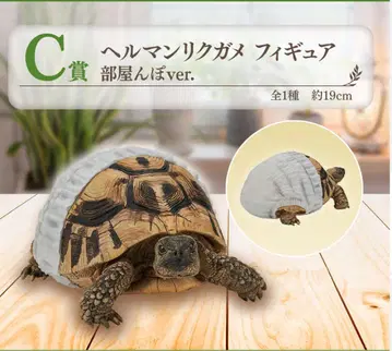 제일복권 파충류&양서류 C상 헤르만 육지거북 피규어 방 안 산책 ver.