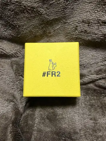 FR2 골드 귀걸이