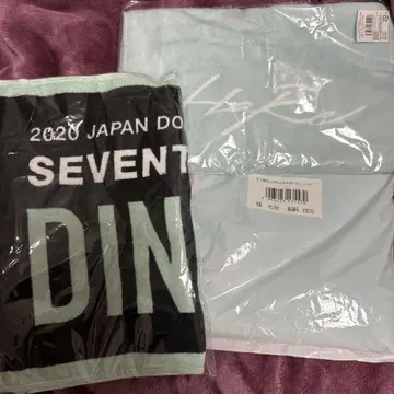 SEVENTEEN 디노 타월