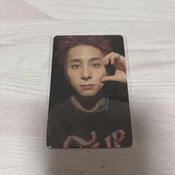 니시 코토 FTC DVD 트레이딩 카드