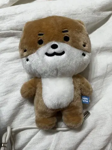 seventeen 디노 찬다리 20cm