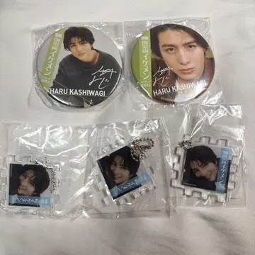 카시와기 하루 초특급 아크링 키링 캔뱃지 세트