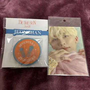 SEVENTEEN 정한 응원봉 액세서리