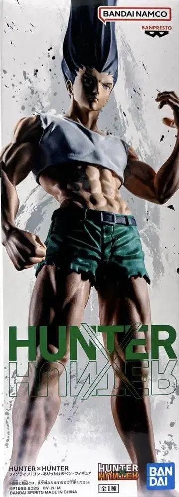 HUNTER x HUNTER 헌터헌터 곤 피그라이프! 피규어