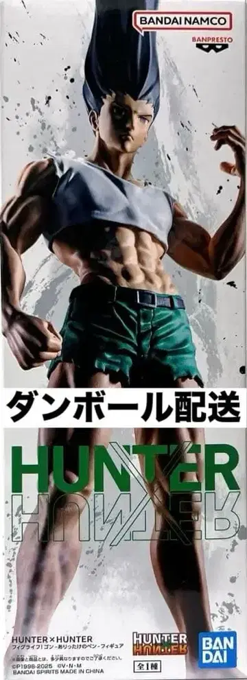 HUNTER x HUNTER 헌터헌터 곤 피그라이프! 피규어