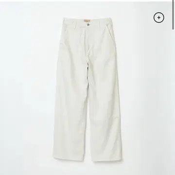 THE SHISHIKUI Painter C / CORDUROY