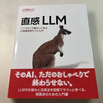 직감 LLM : 핸즈온으로 움직여 배우는 대규모 언어 모델 입문