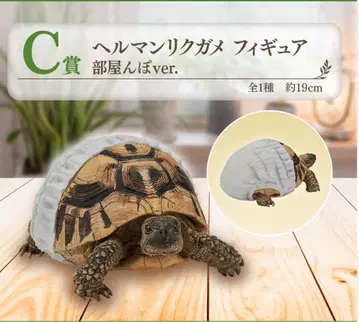 제일복권 파충류 및 양서류 C상 헬만리쿠가메 피규어 방에서 놀기 ver.