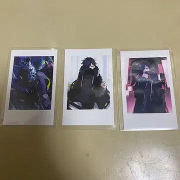 crazy raccoon VanilLa 생일 폴라로이드풍 카드 CR 3장