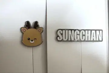 RIIZE 라이즈 성찬 커스텀 참